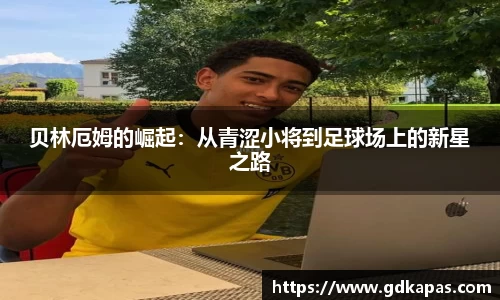 B体育官网