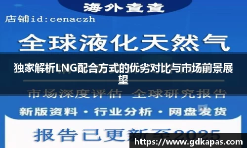 独家解析LNG配合方式的优劣对比与市场前景展望